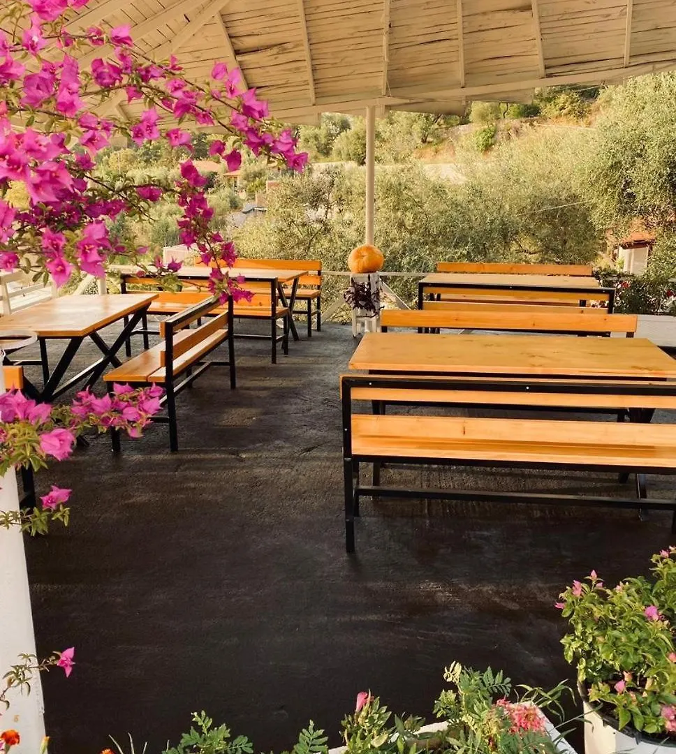 Firauni Studios Vlorë