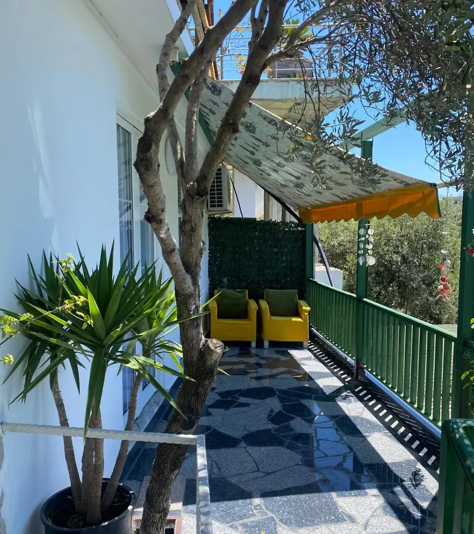 Firauni Studios Vlorë Αλβανία