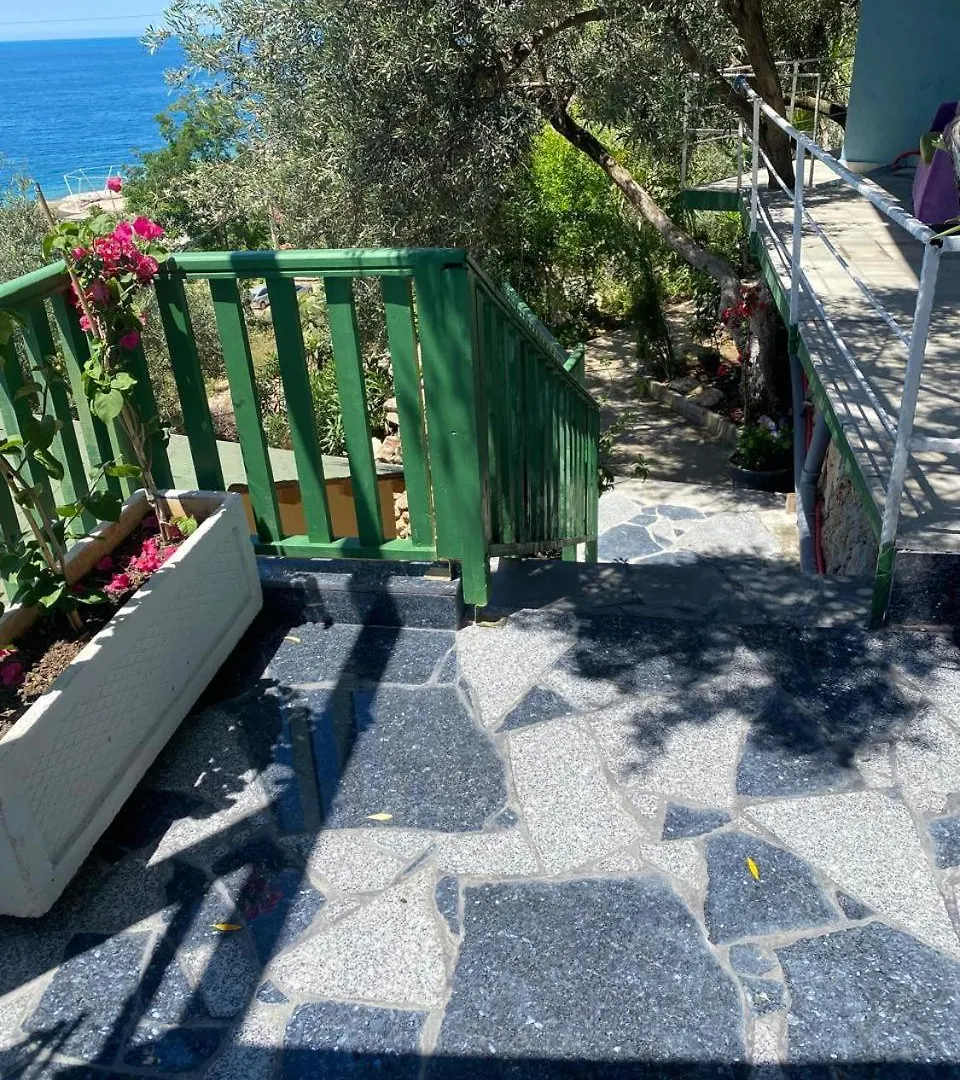 Firauni Studios Vlorë 0*,  Αλβανία