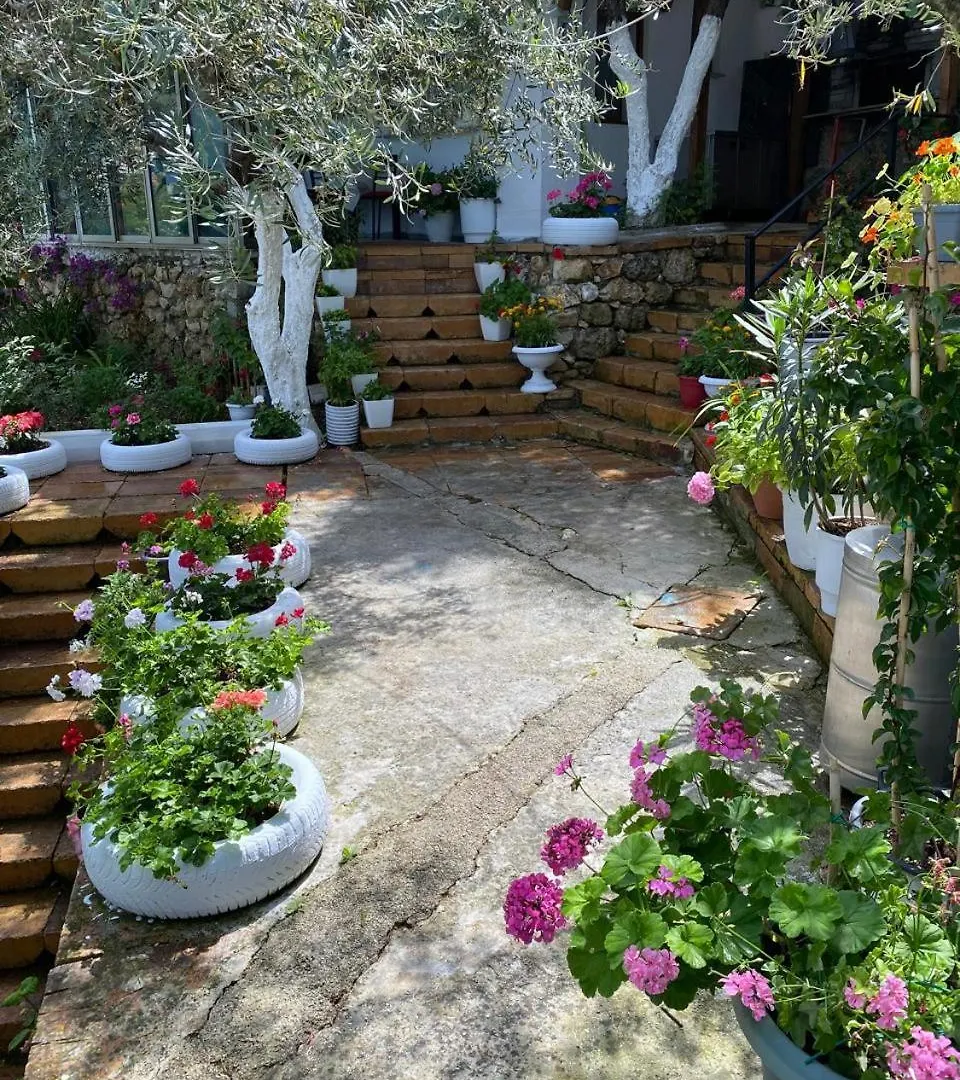 Firauni Studios Vlorë
