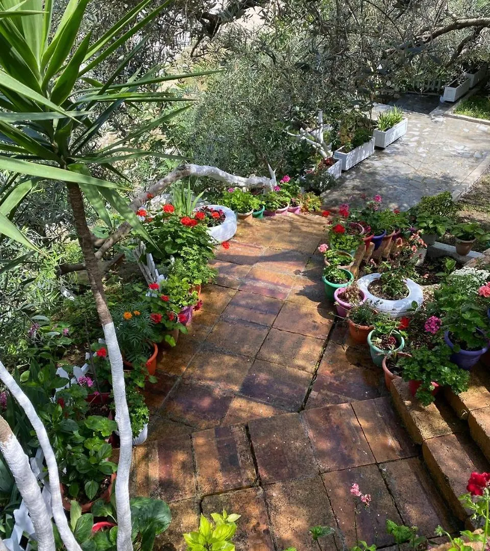 Semesterbostad Firauni Studios Vlorë