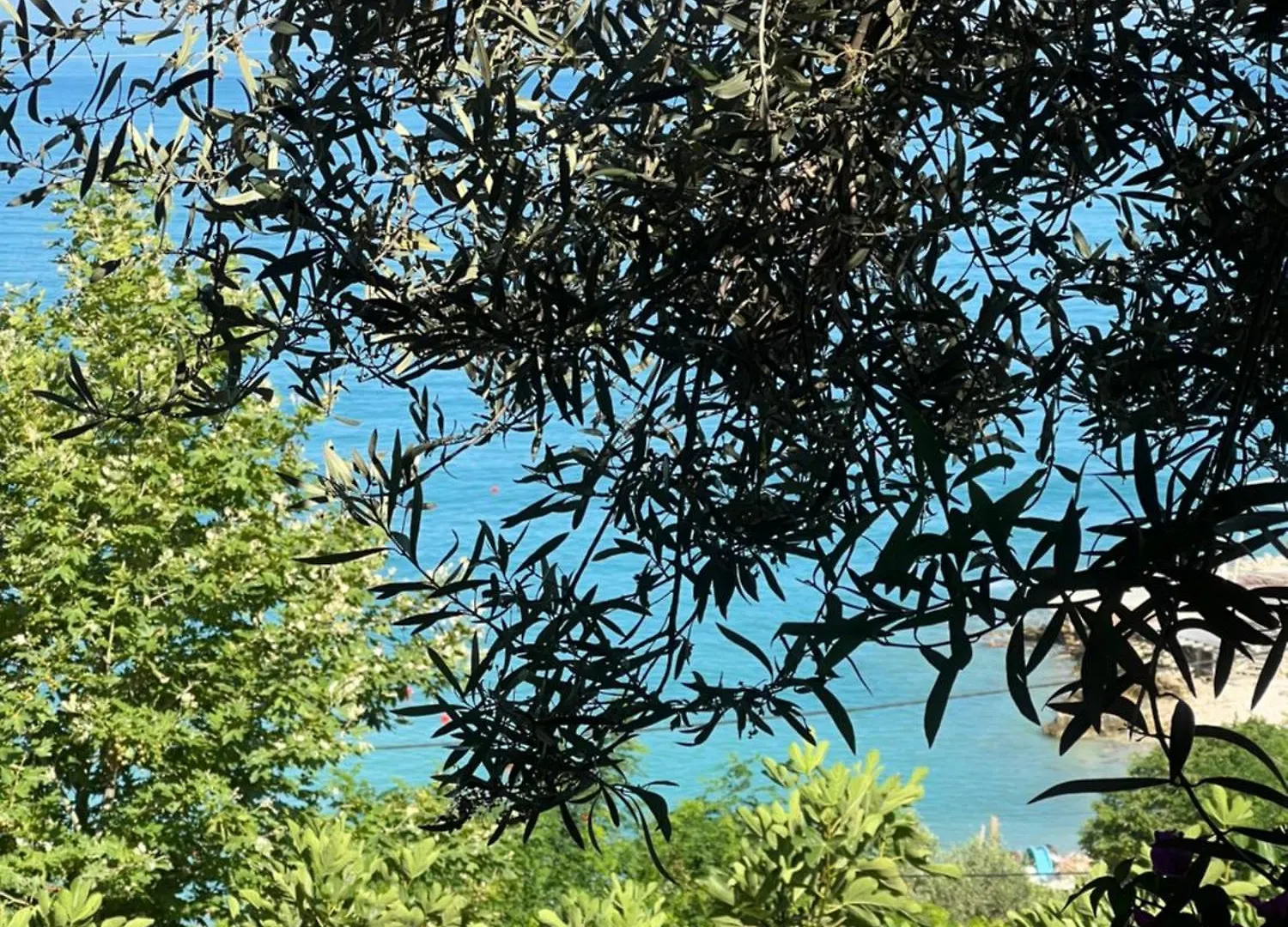 Firauni Studios Vlorë Αλβανία